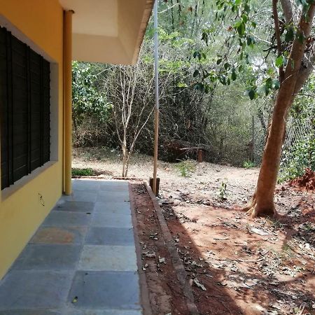 Purity Guest House Auroville Eksteriør bilde